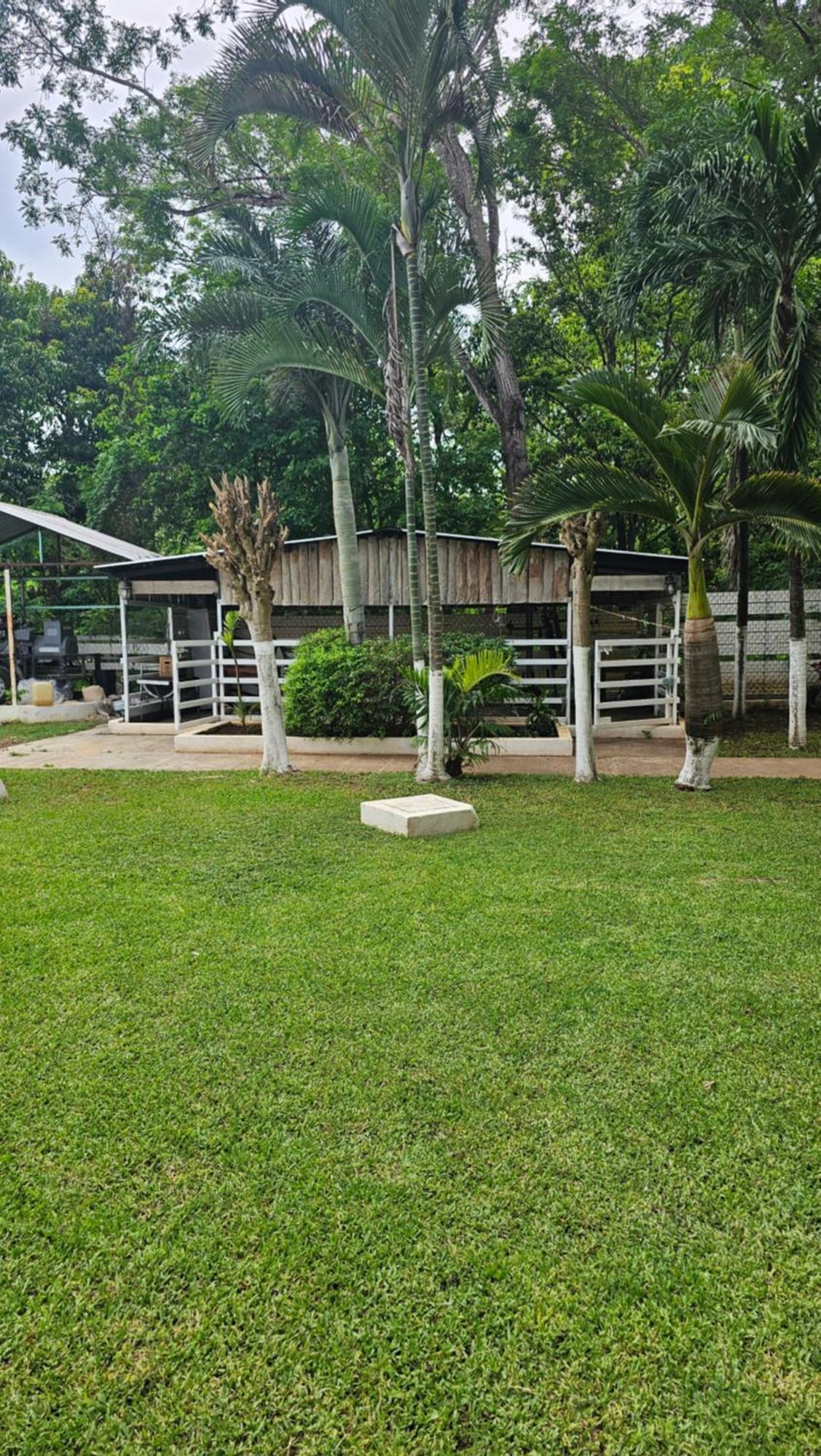 Los Cedros Uayamon Екстер'єр фото